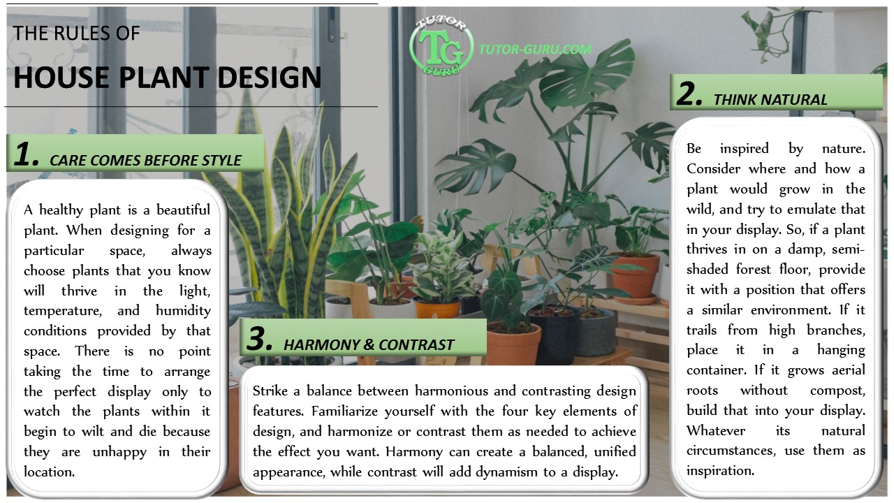 The Rules of House Plant Design